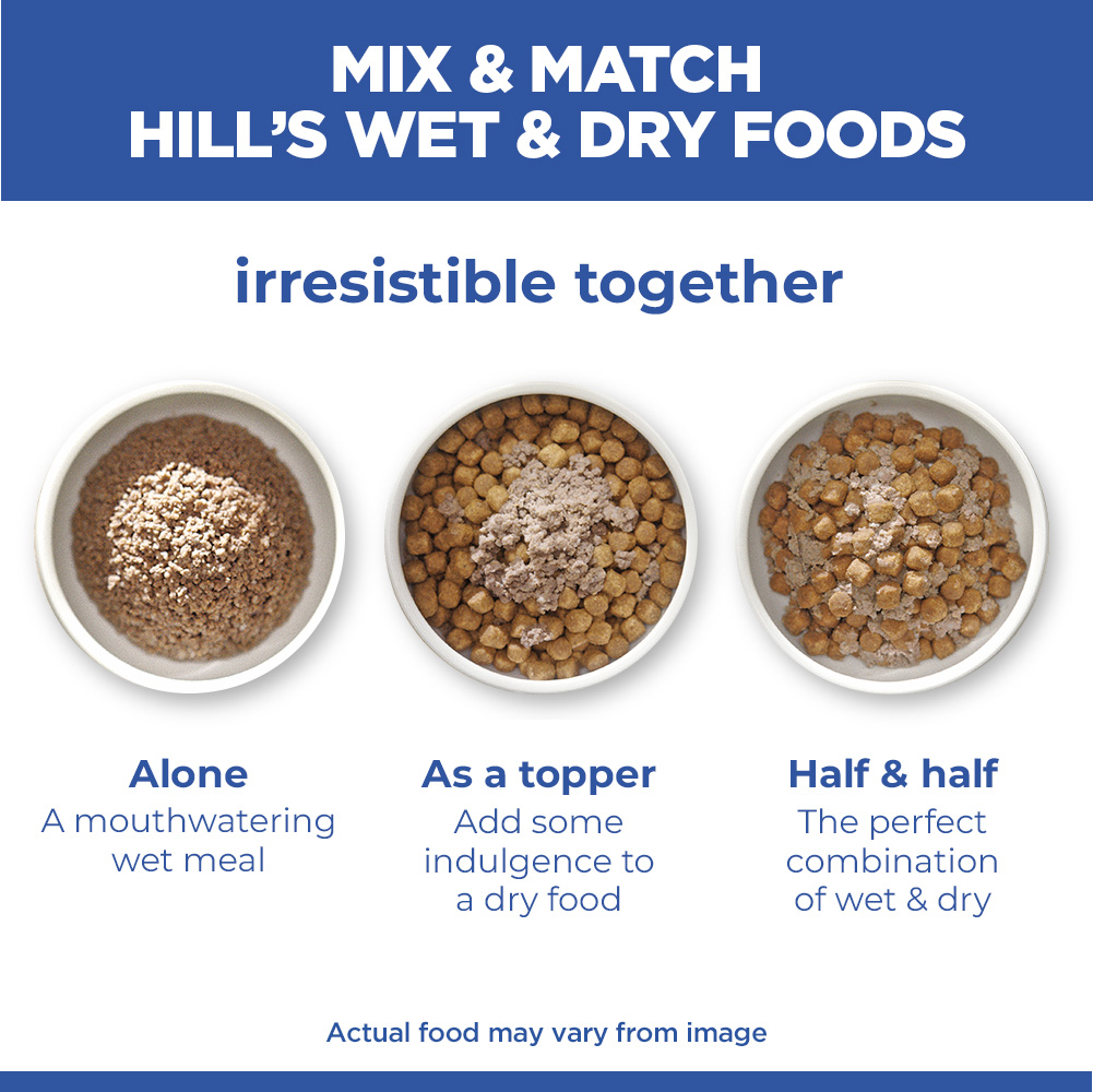 Hill's Science Plan Medium - Adult - Beef - Can