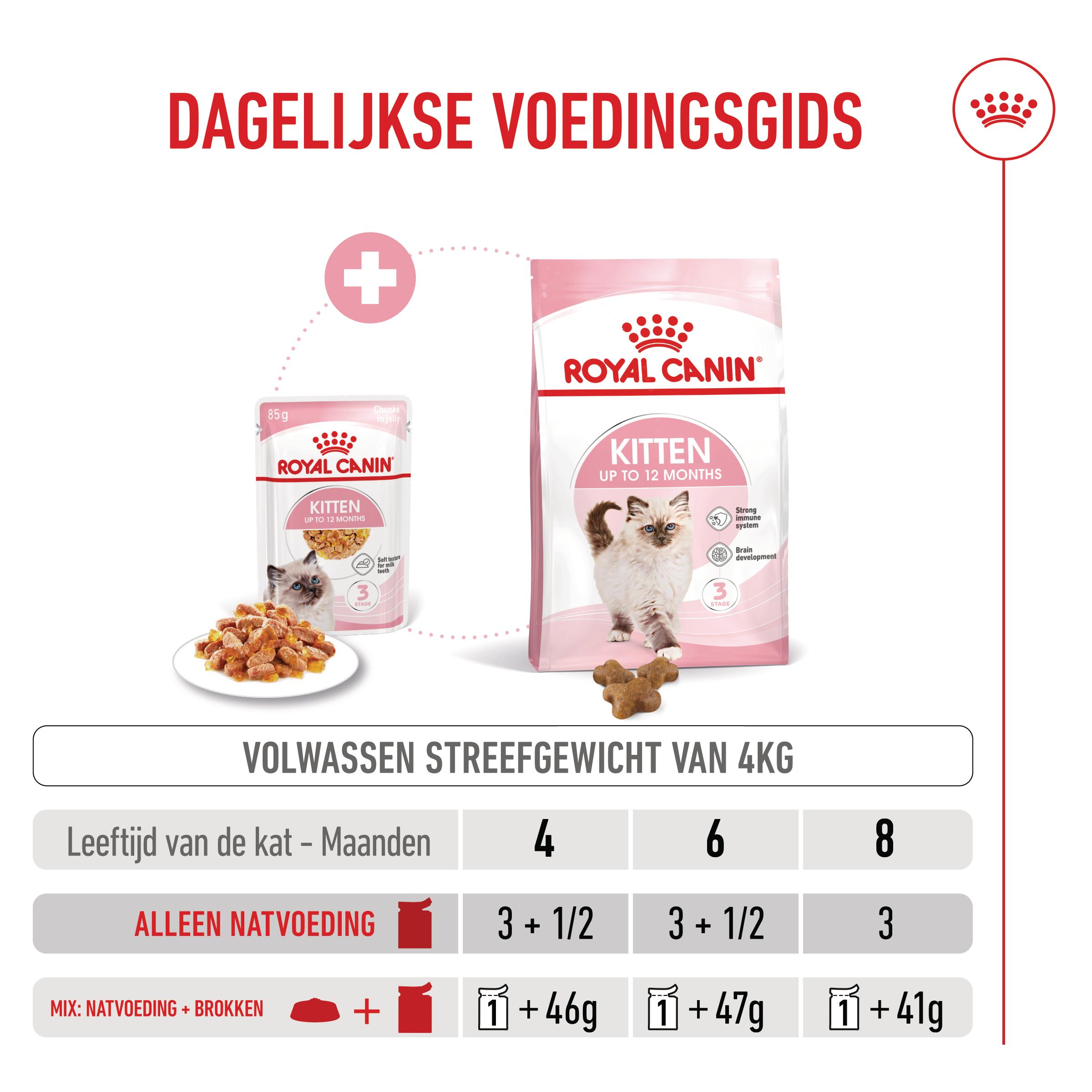 Royal Canin Kitten in Jelly - Kattenvoer