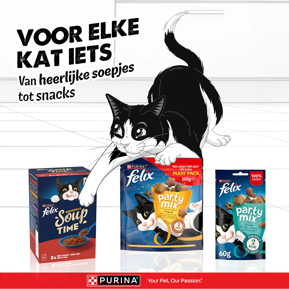 Felix Soup Vis Selectie -  6 x 48 gram