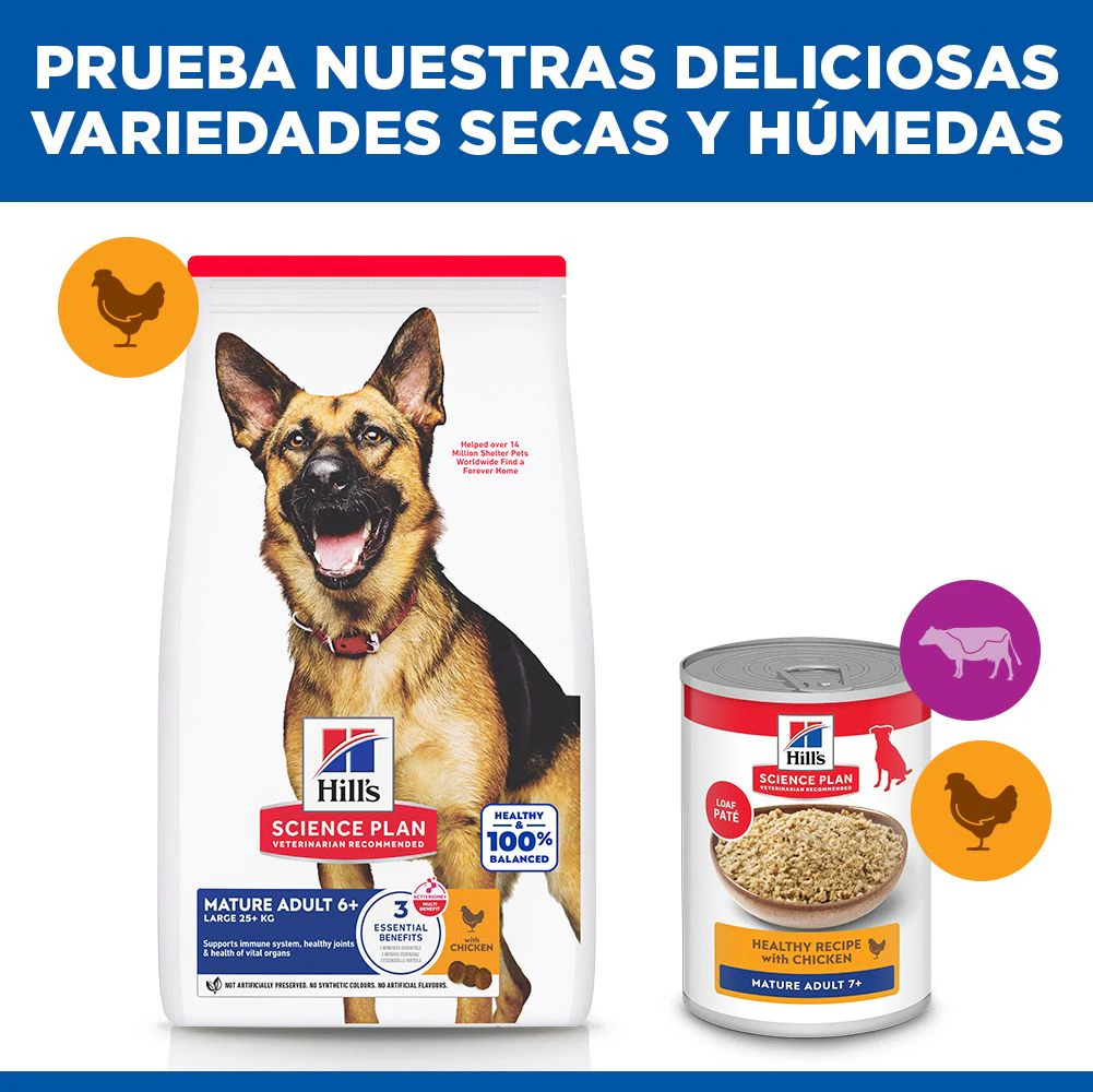 Hill's Science Plan - Large Breed - Mature Adult 6+ - Pollo