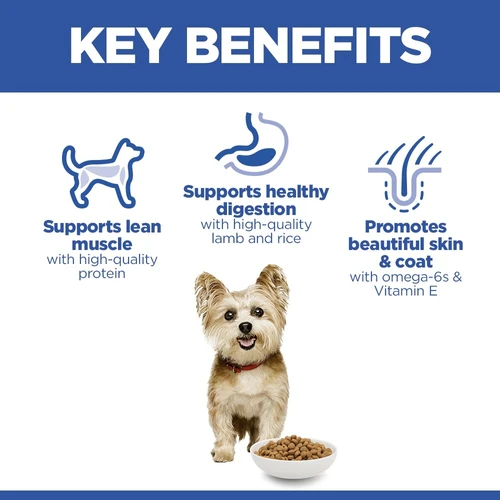 Hill's Science Plan Small & Mini - Adult - Lamb and Rice