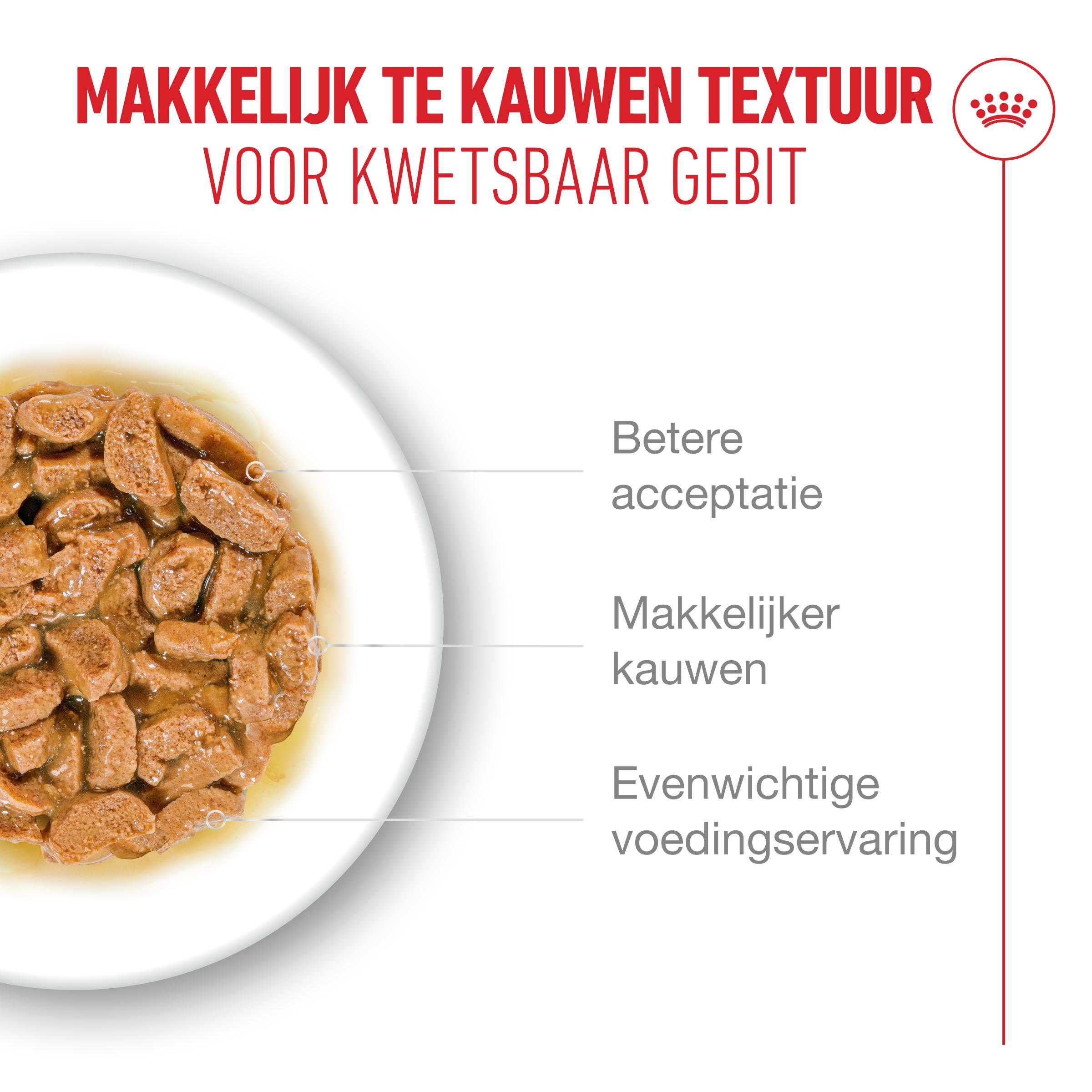 Royal Canin Ageing 15+ in Saus - Kattenvoer