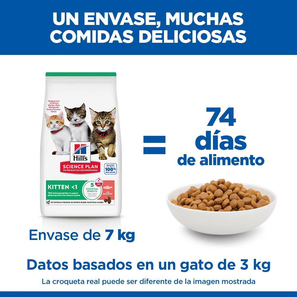 Hill's Science Plan - Gatito - Salmón