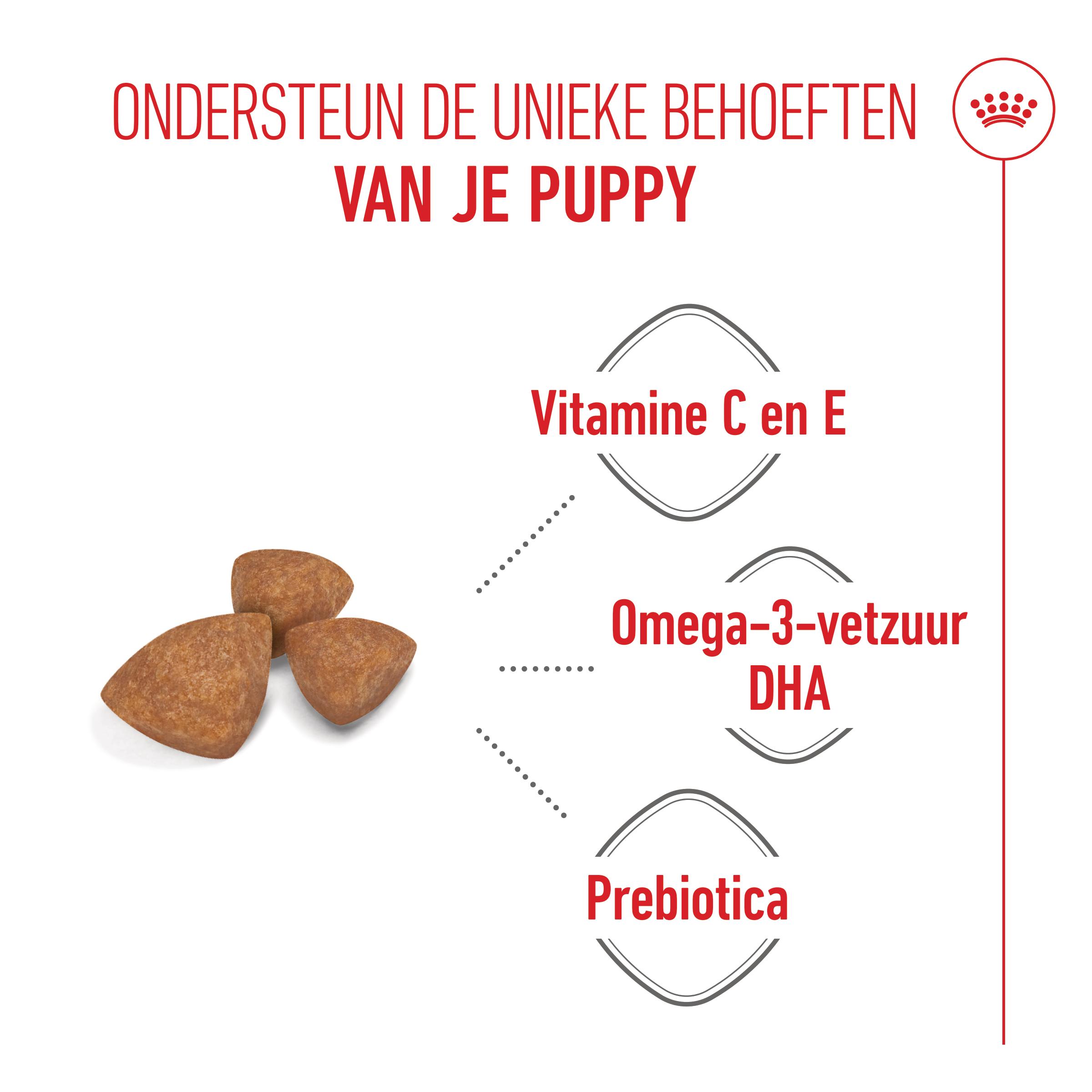 Royal Canin X-Small Puppy - Hondenvoer