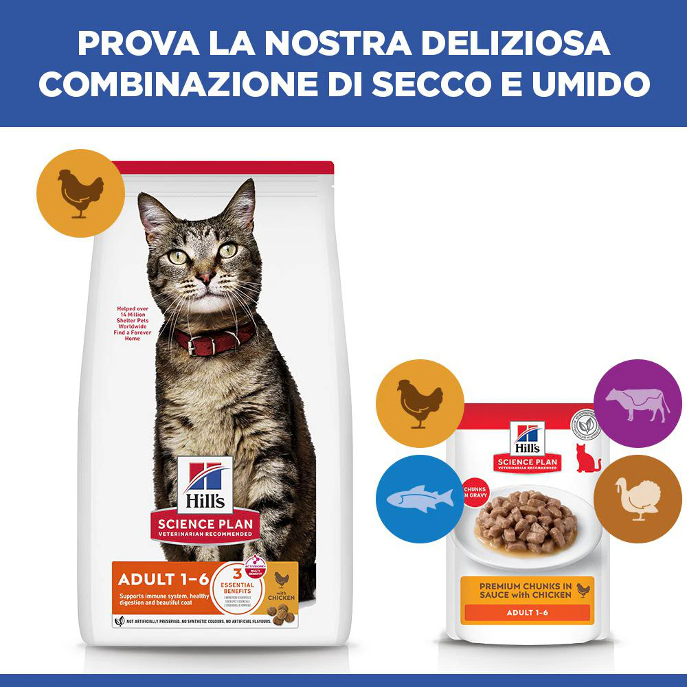 Hill's Science Plan - Feline Adult - Pollo/Pollame - Bustina Pasto