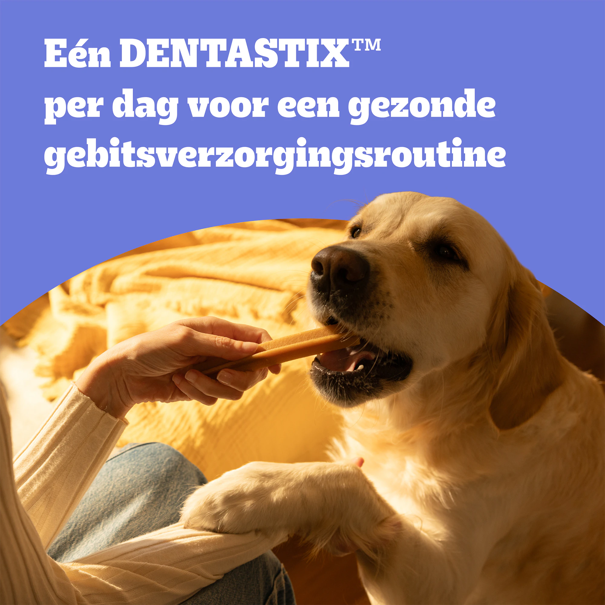 Pedigree DentaStix - Medium Multipack