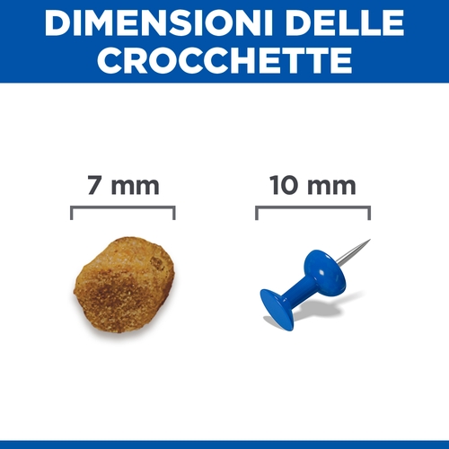 Hill's Science Plan Adult - Agnello