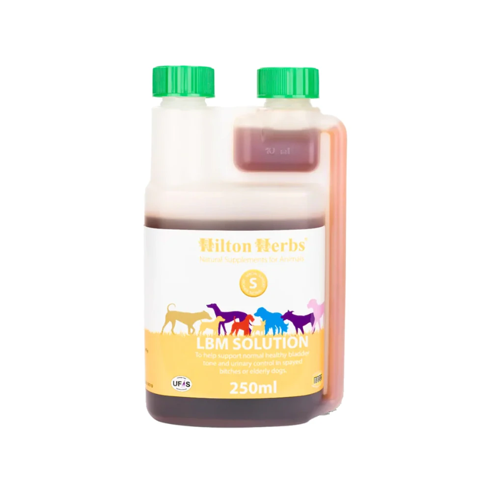 Hilton Herbs LBM Solution for Dogs