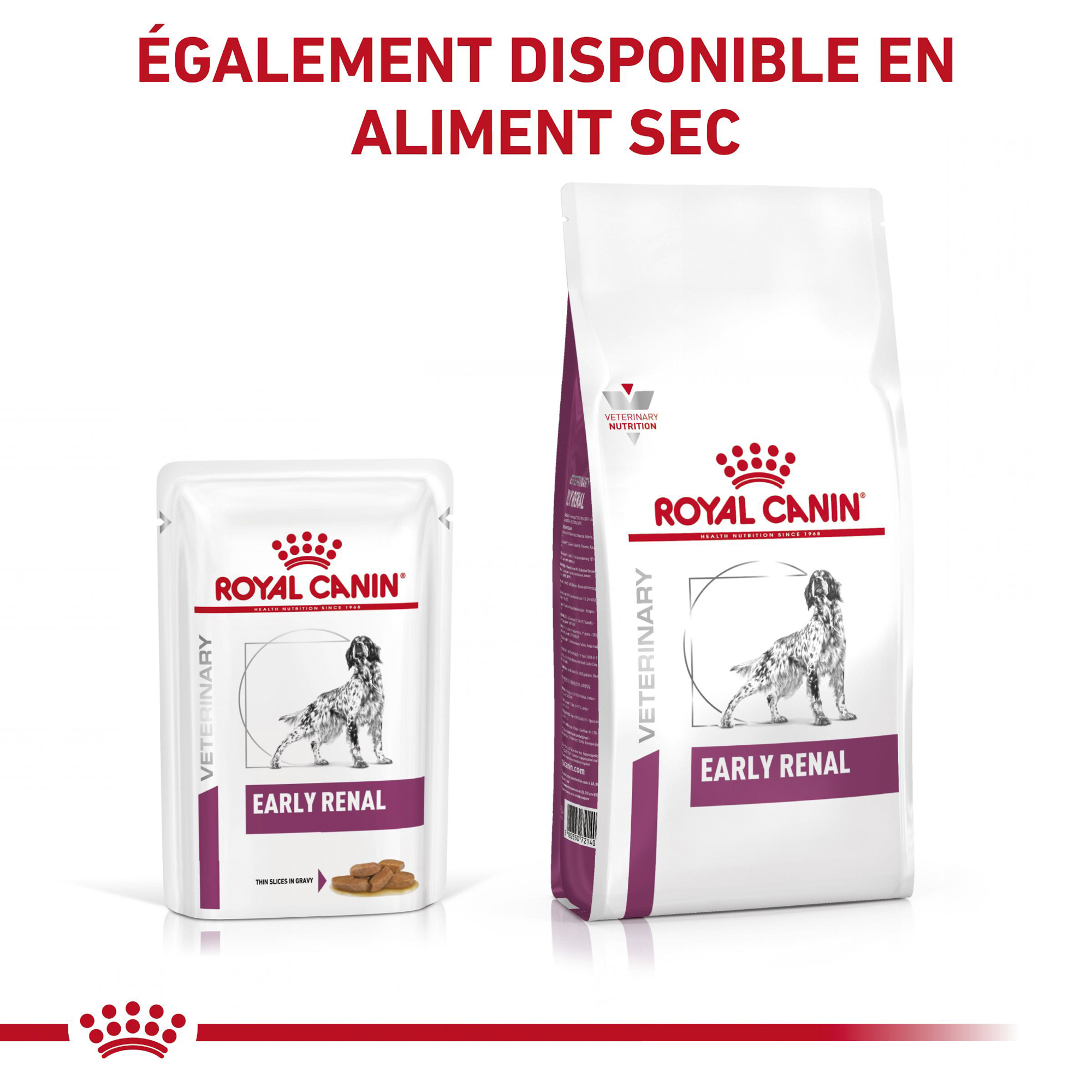 Royal Canin Early Renal Wet - Chien