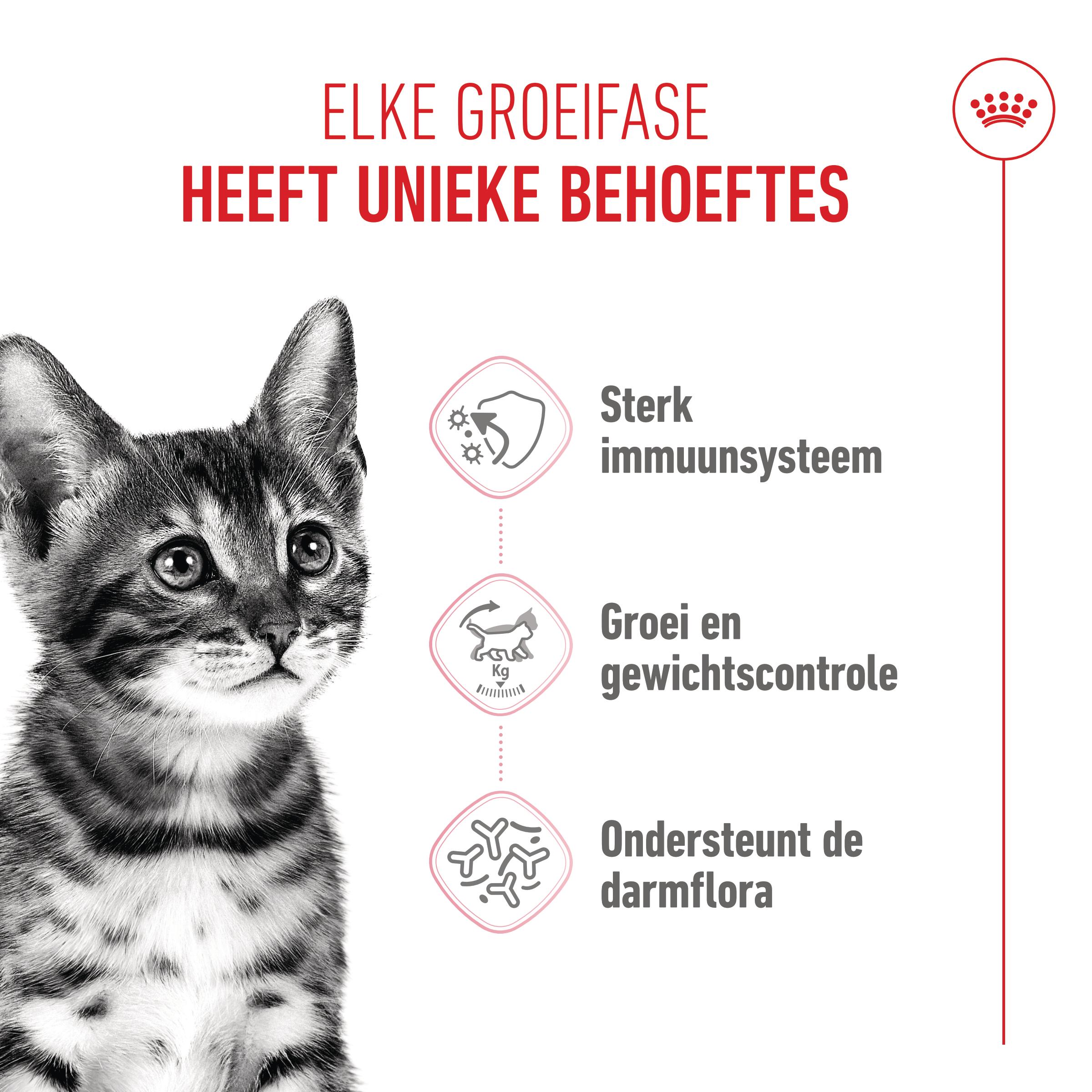 Royal Canin Kitten Sterilised - Kattenvoer