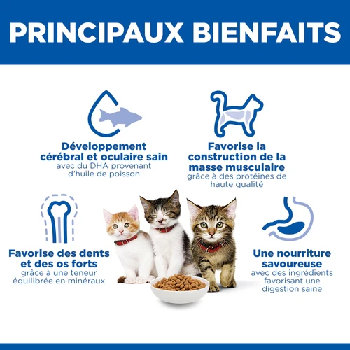 Hill's Science Plan - Chaton - Saumon