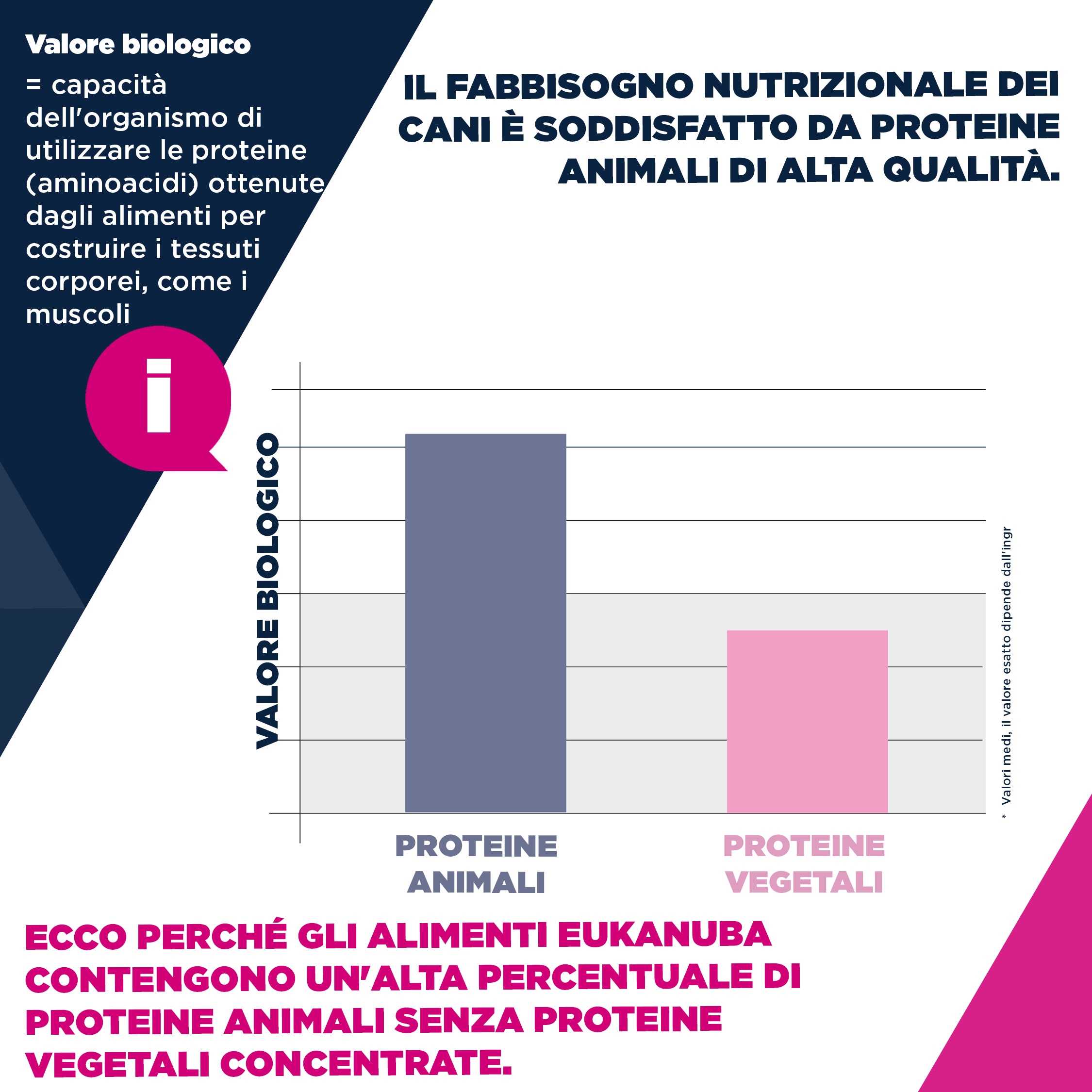 Eukanuba Dog - Life Care Puppy - Large Breed