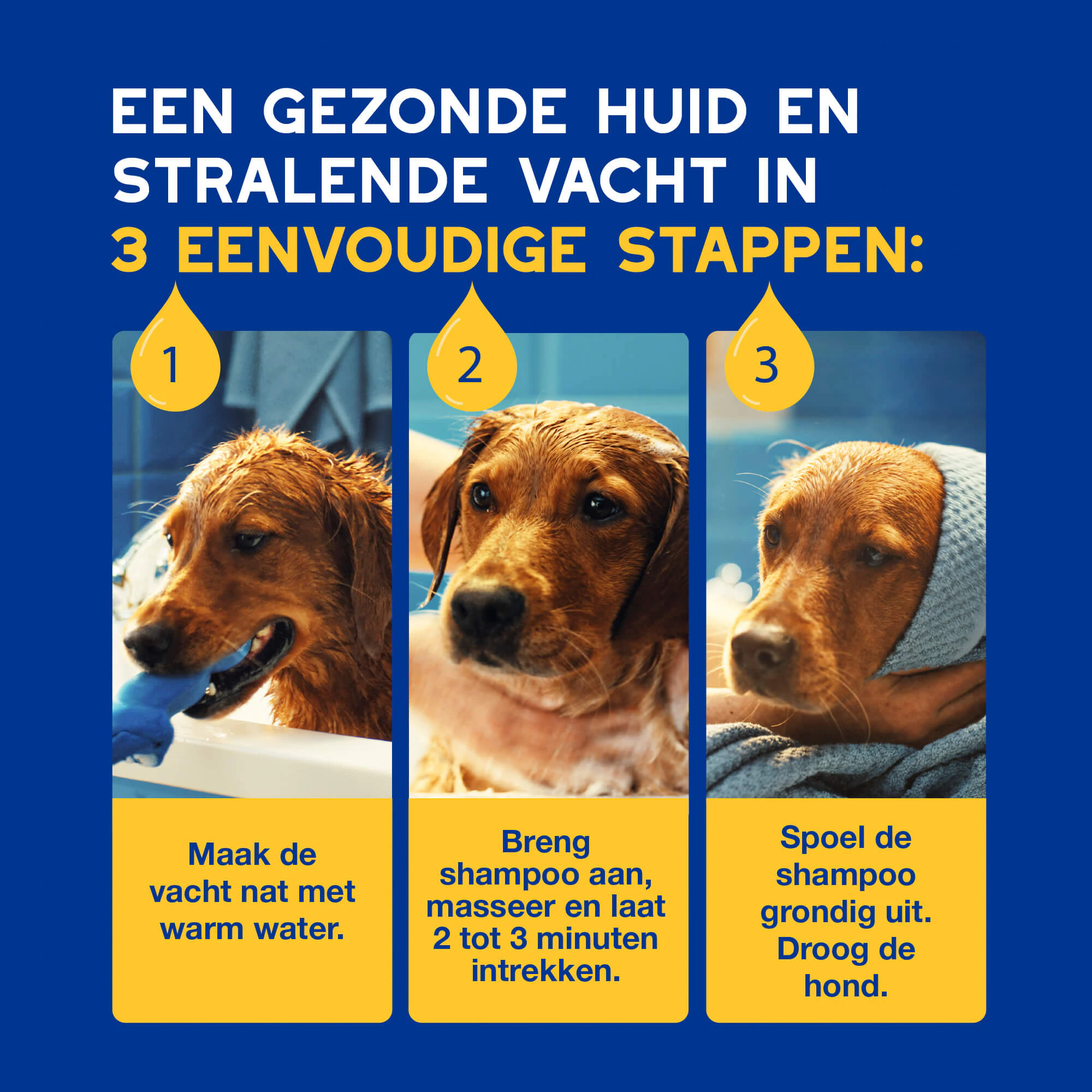 Douxo Spa Hydraterende Shampoo