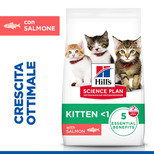 Hill's Science Plan - Kitten - Salmone