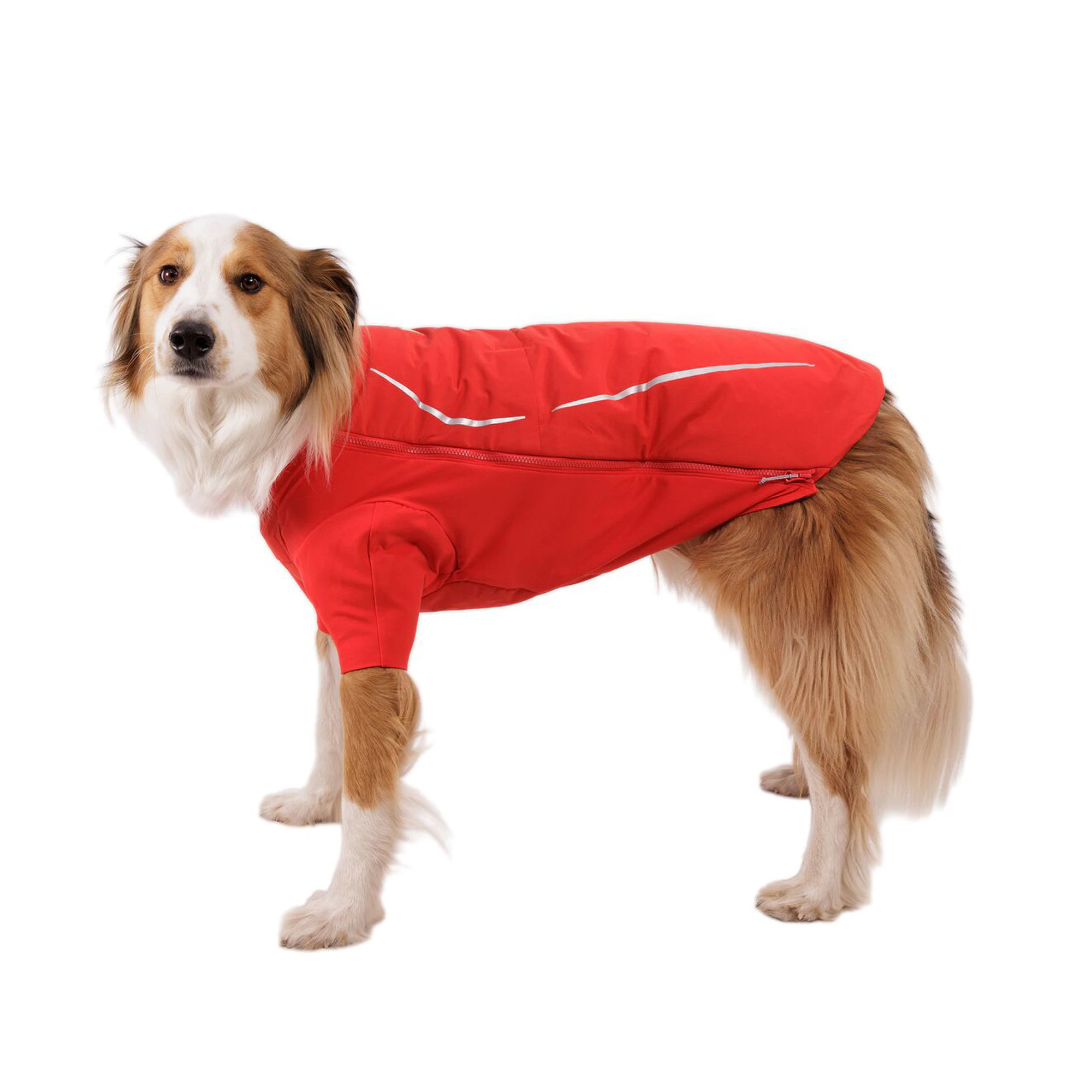 Ruffwear Powder Hound Waterproof Insulated Jacket - Red Currant - S