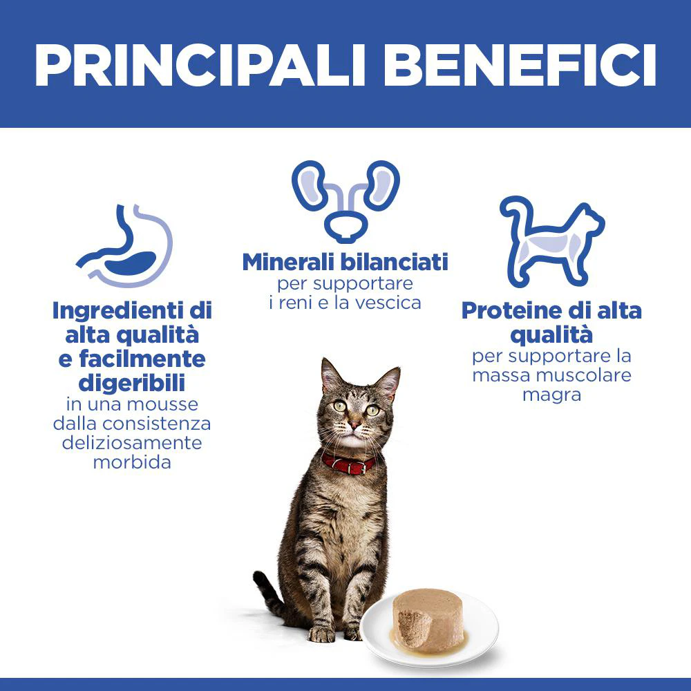 Hill's Science Plan Feline Adult Premium Mousse - Salmone