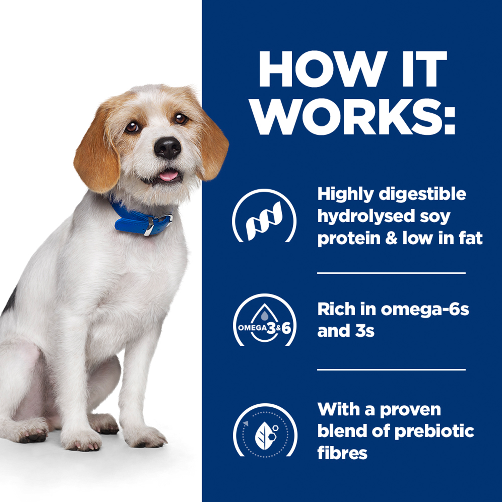 Hill's z/d Low Fat Food Sensitivities - Prescription Diet - Canine