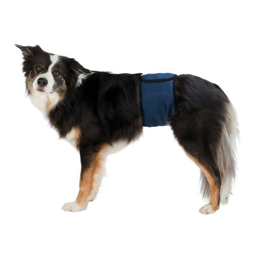 thumbnail interactive-video image 1 of 2pk Reusable Doggie Belly Bands For Male Dogs - Blue Paws & Bones Pattern 1 of 3