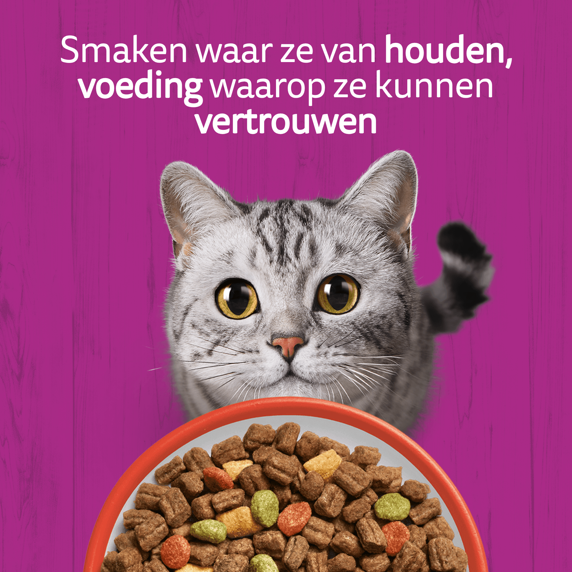 Whiskas Droog Adult Box
