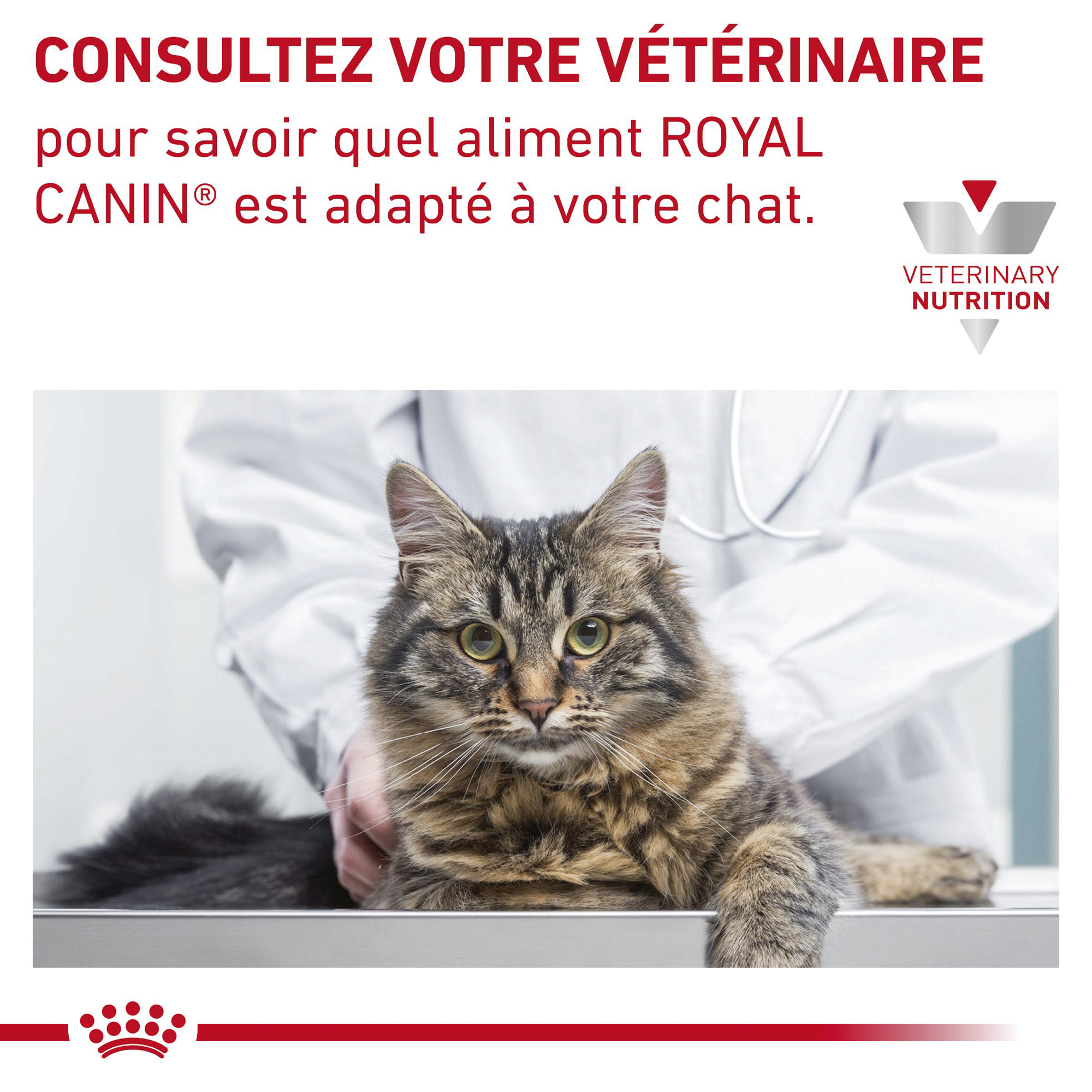 Royal Canin Gastro Intestinal - Sachet