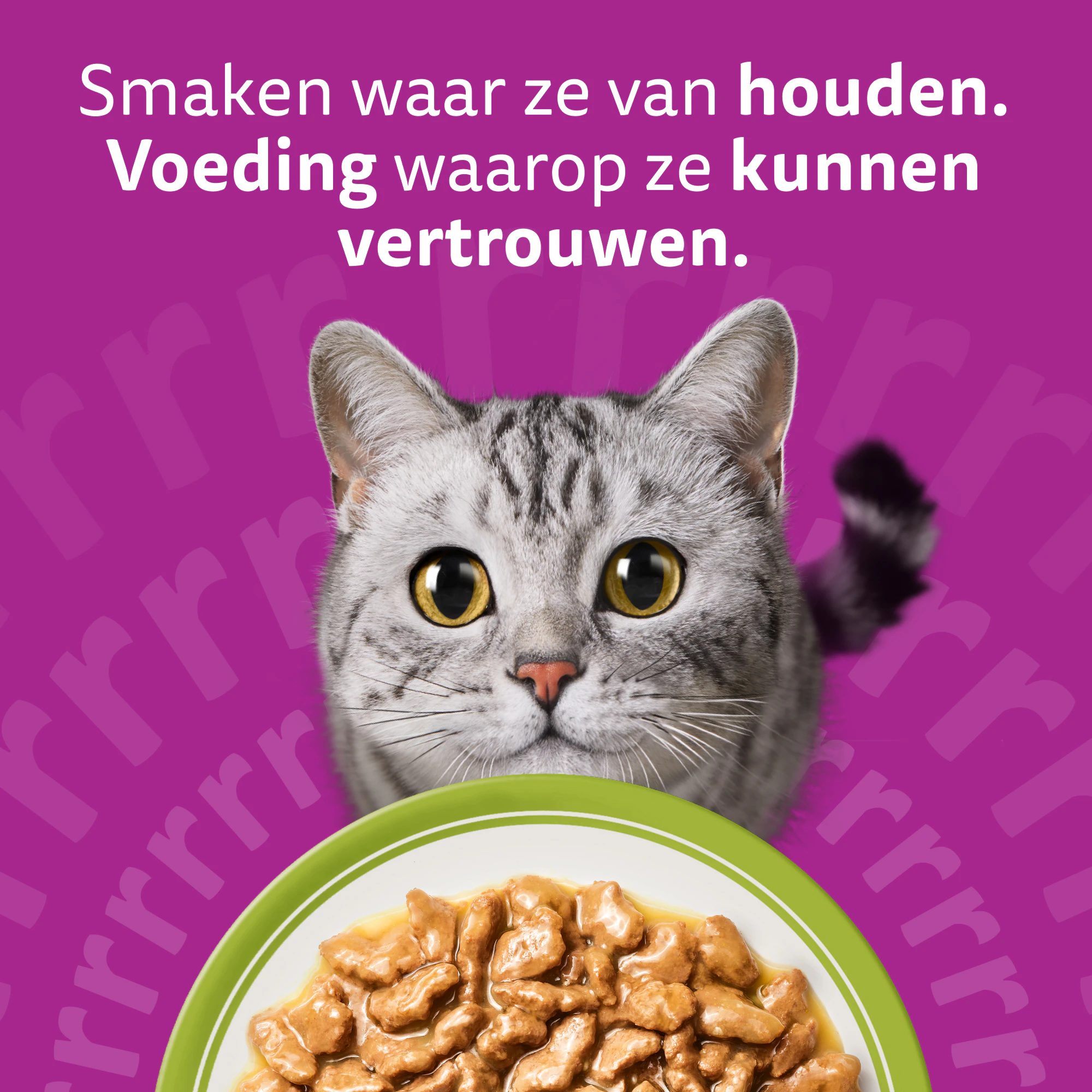 Whiskas 1+ Mixed Menu in Gelei - Maaltijdzakjes