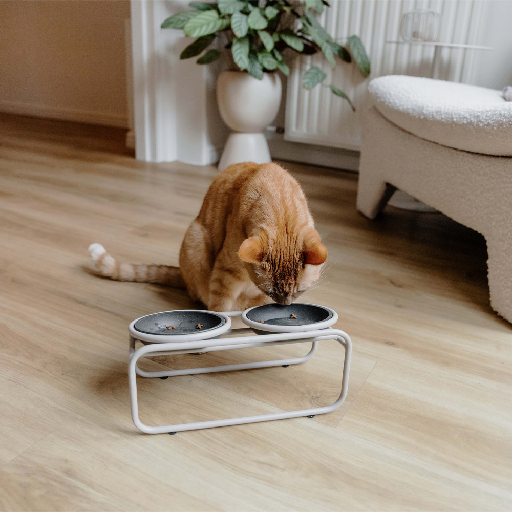 District 70 Butler Voerbakstandaard - Kat