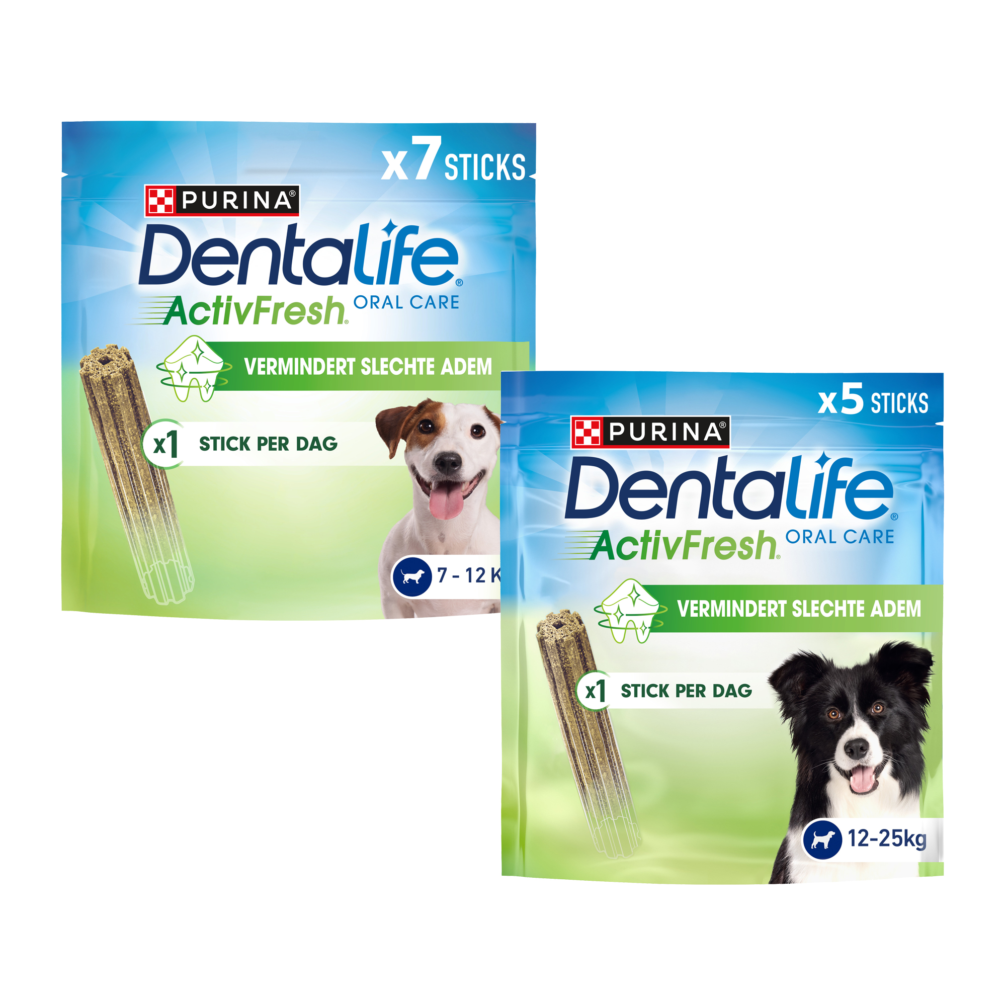 Dentalife ActivFresh