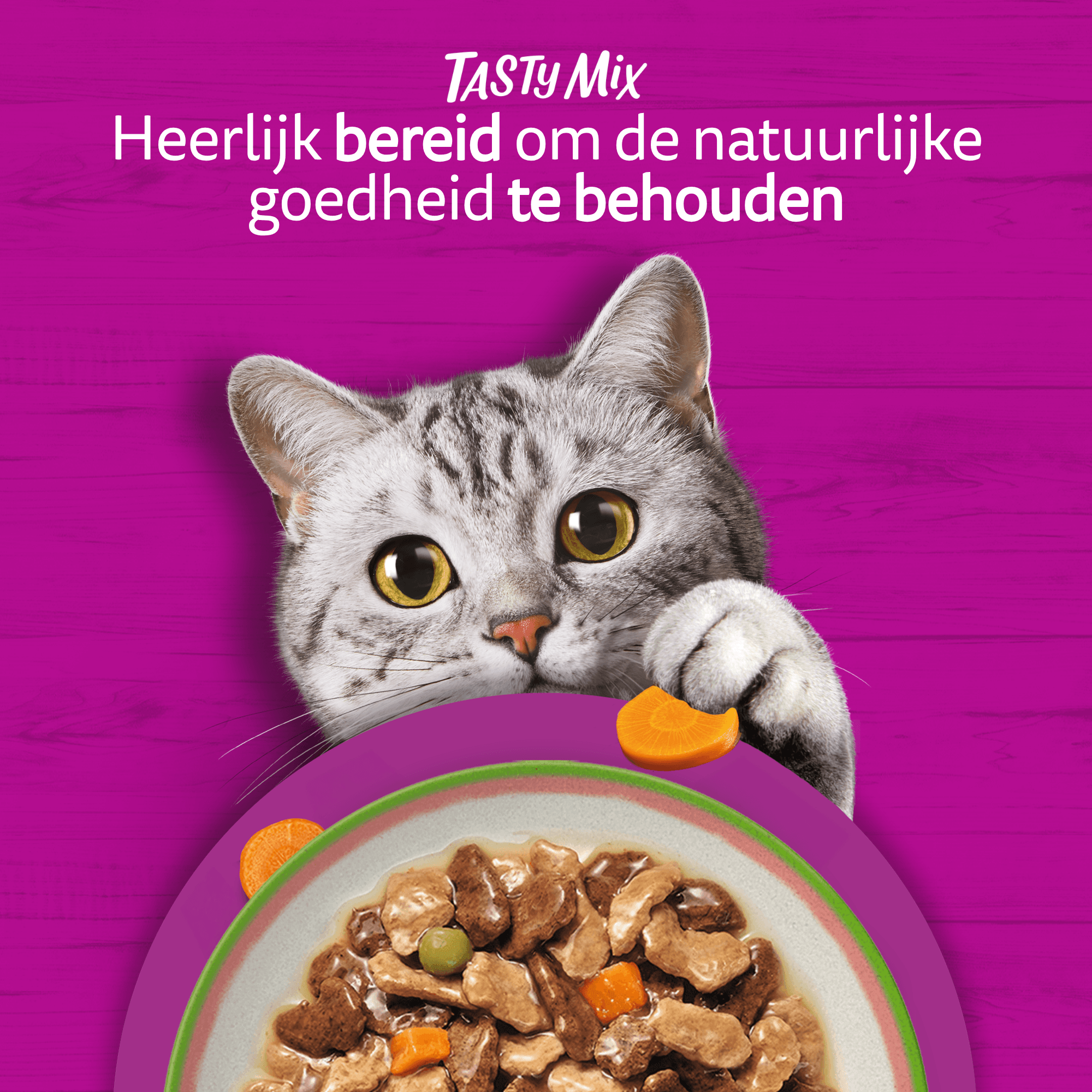 Whiskas 1+ Natvoer - Tasty Mix - Multipack