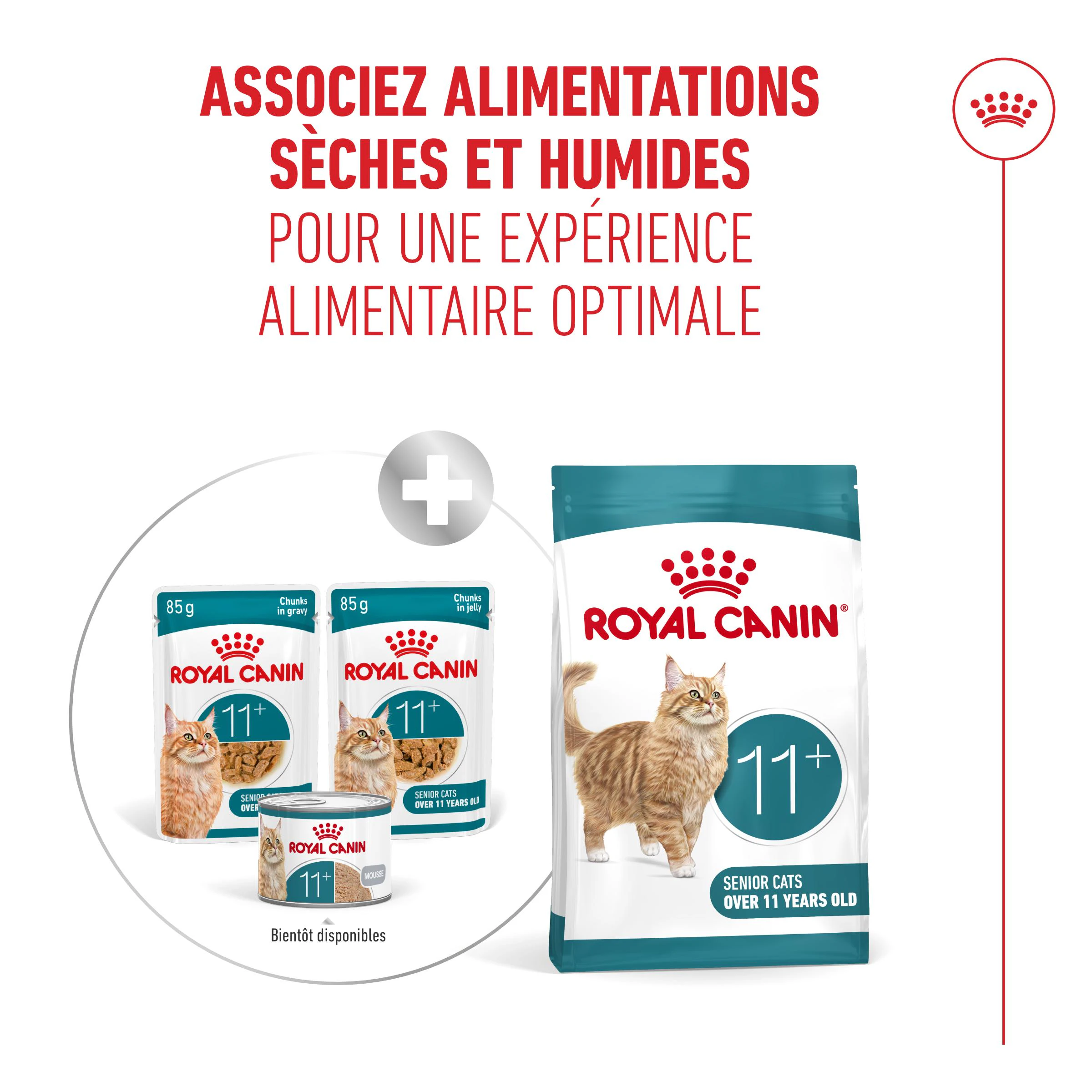 Royal Canin Ageing 11+ Mousse - Nourriture pour chats