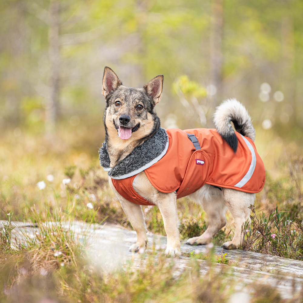 Pomppa Perus Manteau pour Chien