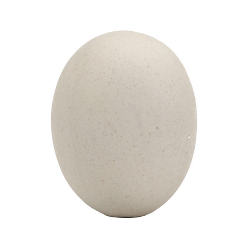 Fauna Hatching Egg Chicken