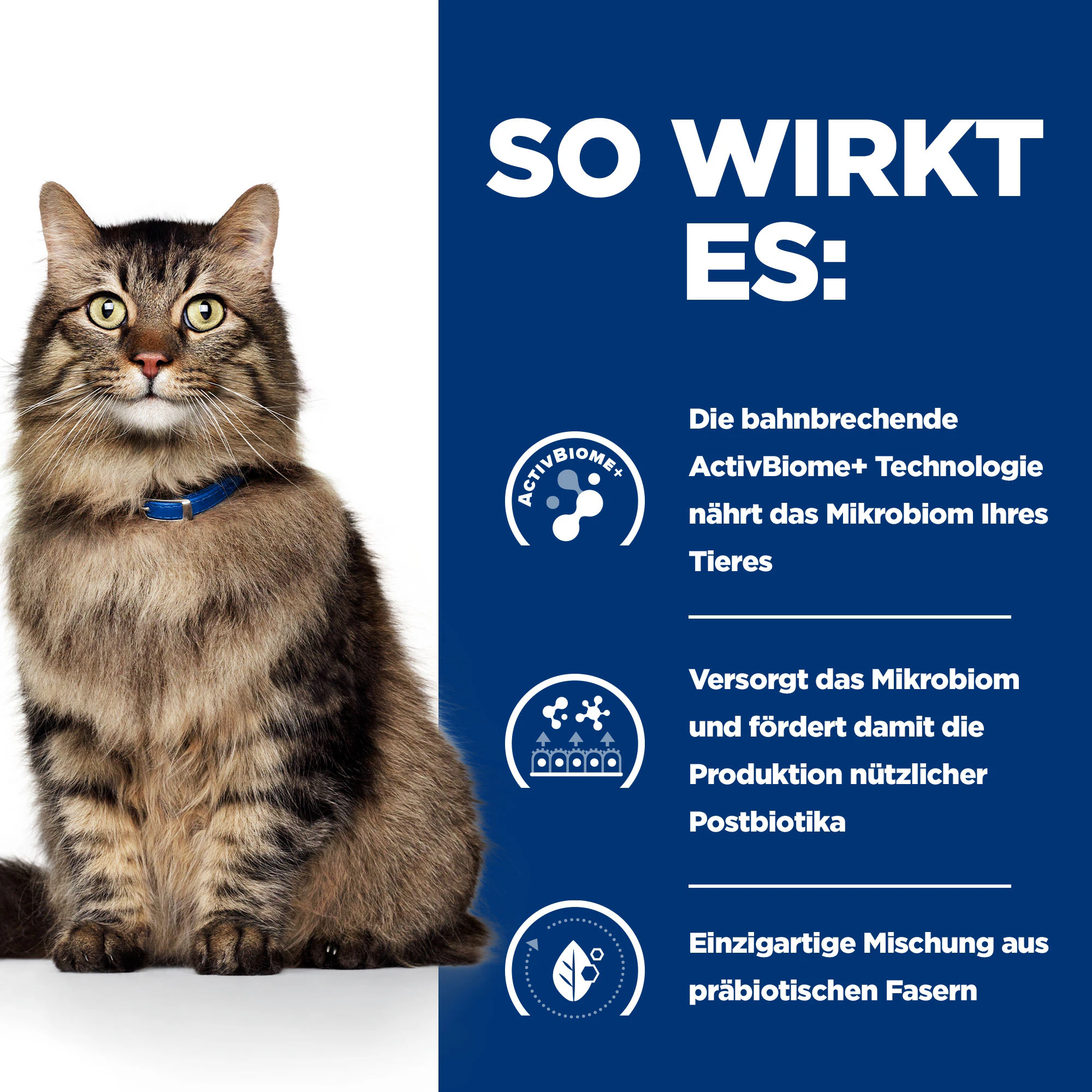 Hill's Prescription Diet - Gastrointestinal Biome - Feline - Nassfutter