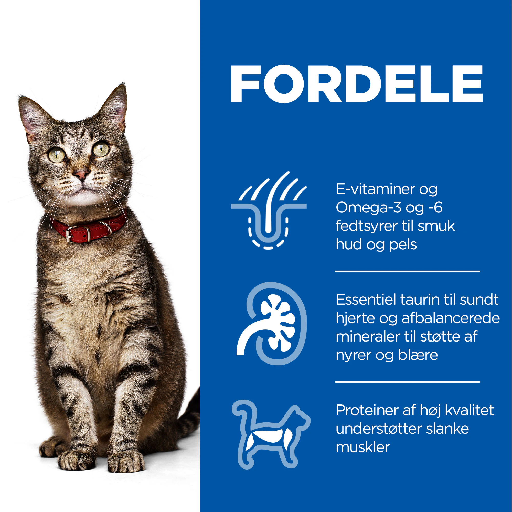 Hill's Science Plan Feline Adult Favoritudvalg