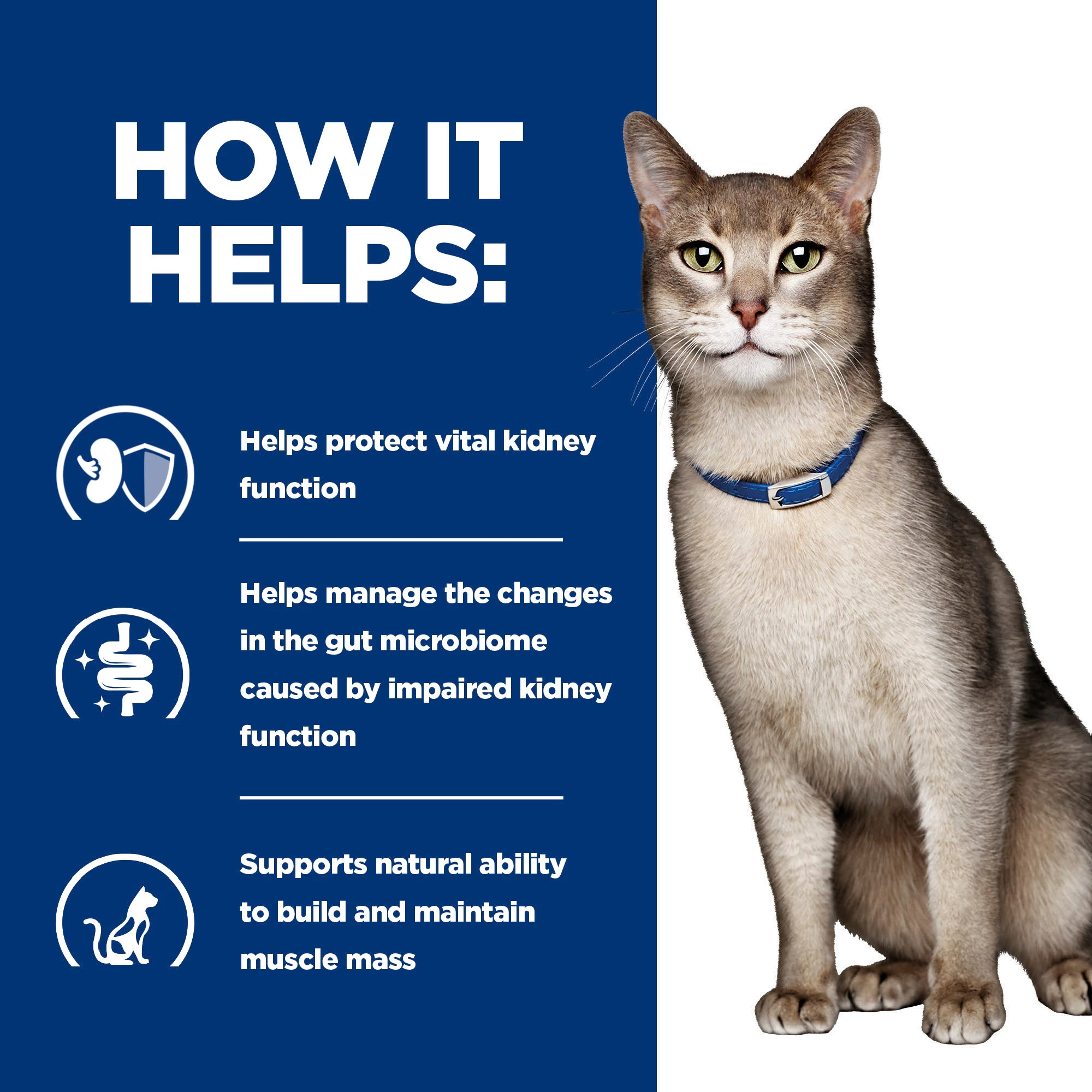 Hill's k/d Kidney Care - Prescription Diet - Feline - Mousse
