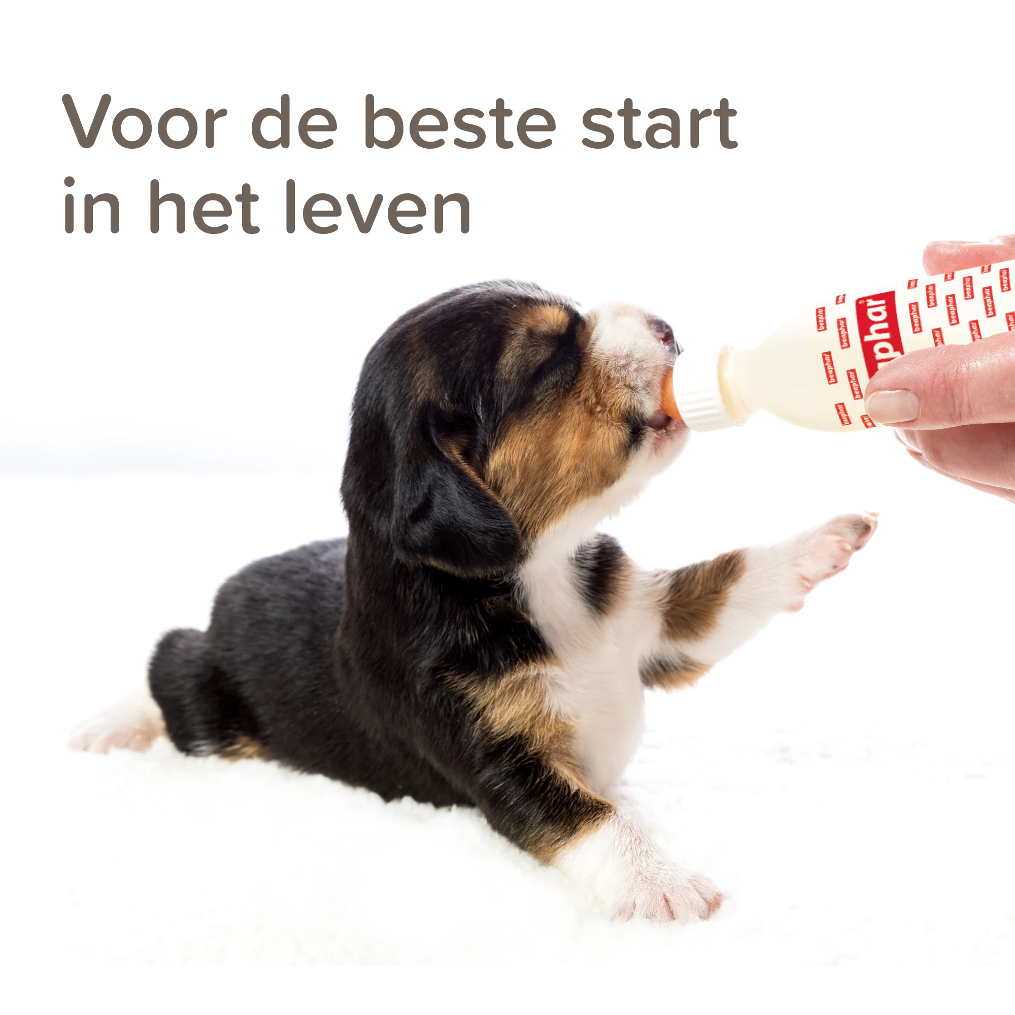 Beaphar Lactol Puppy Milk