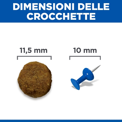 Hill's Science Plan Medium - Adult - Agnello e Riso