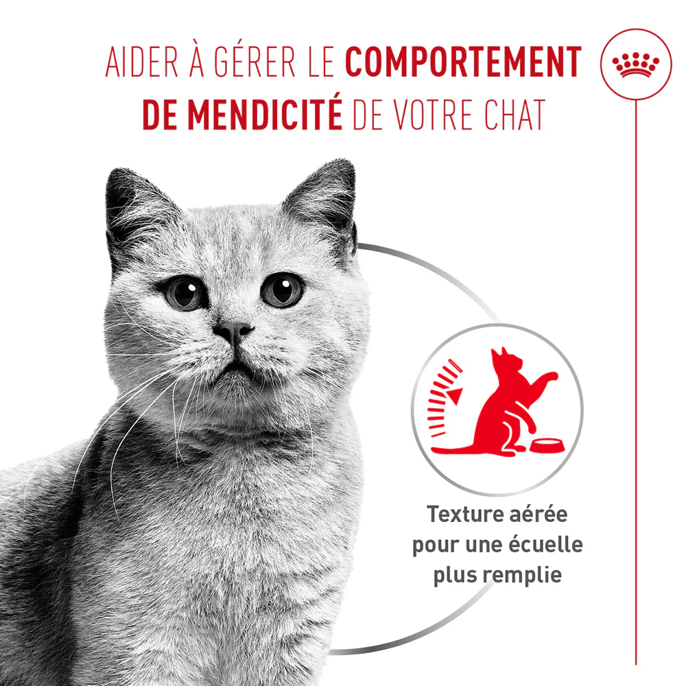 Royal Canin Appetite Control Care AirLift Mousse - Nourriture pour chat
