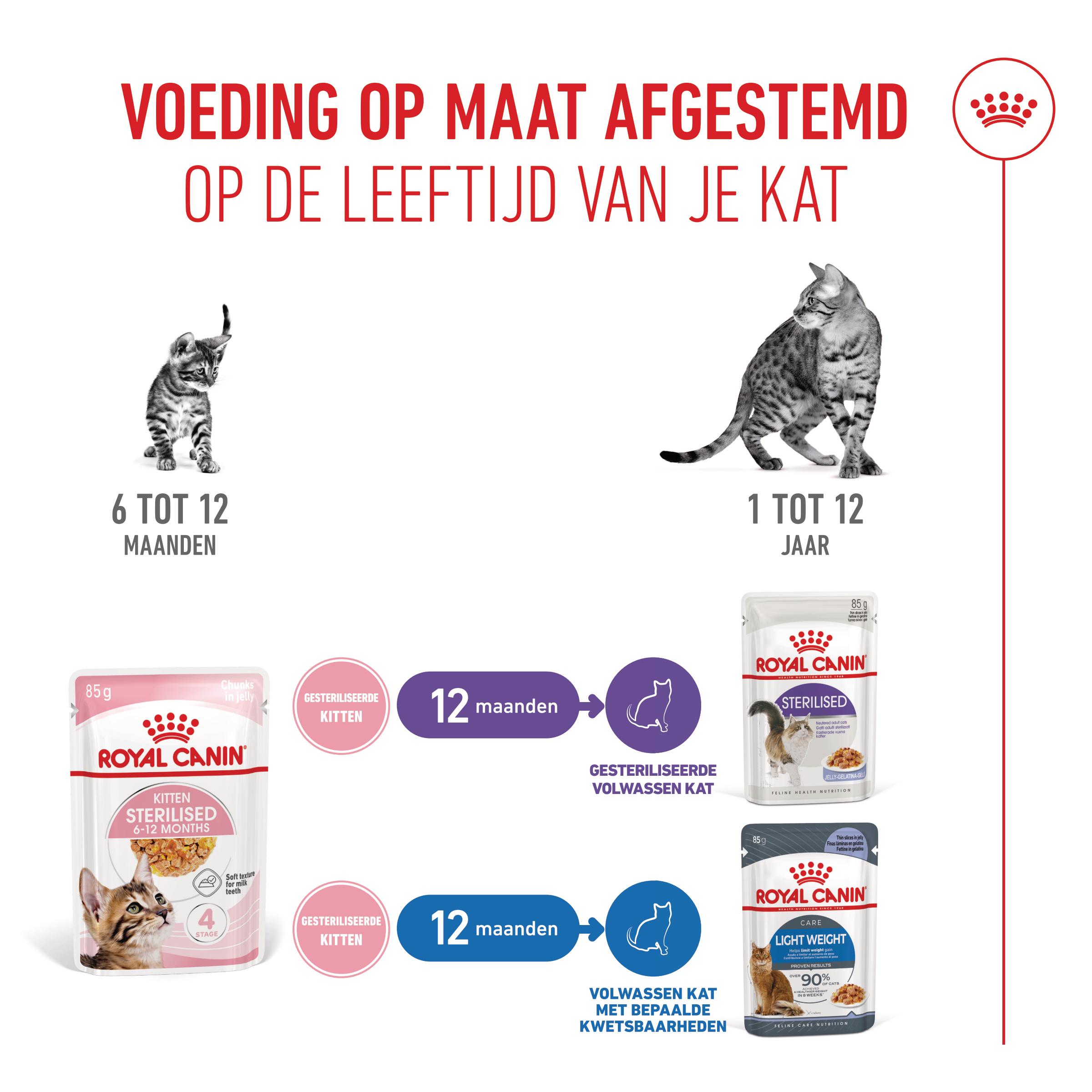 Royal Canin Kitten Sterilised in Jelly - Maaltijdzakje