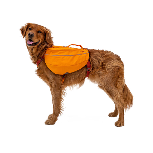 Ruffwear Approach Pack