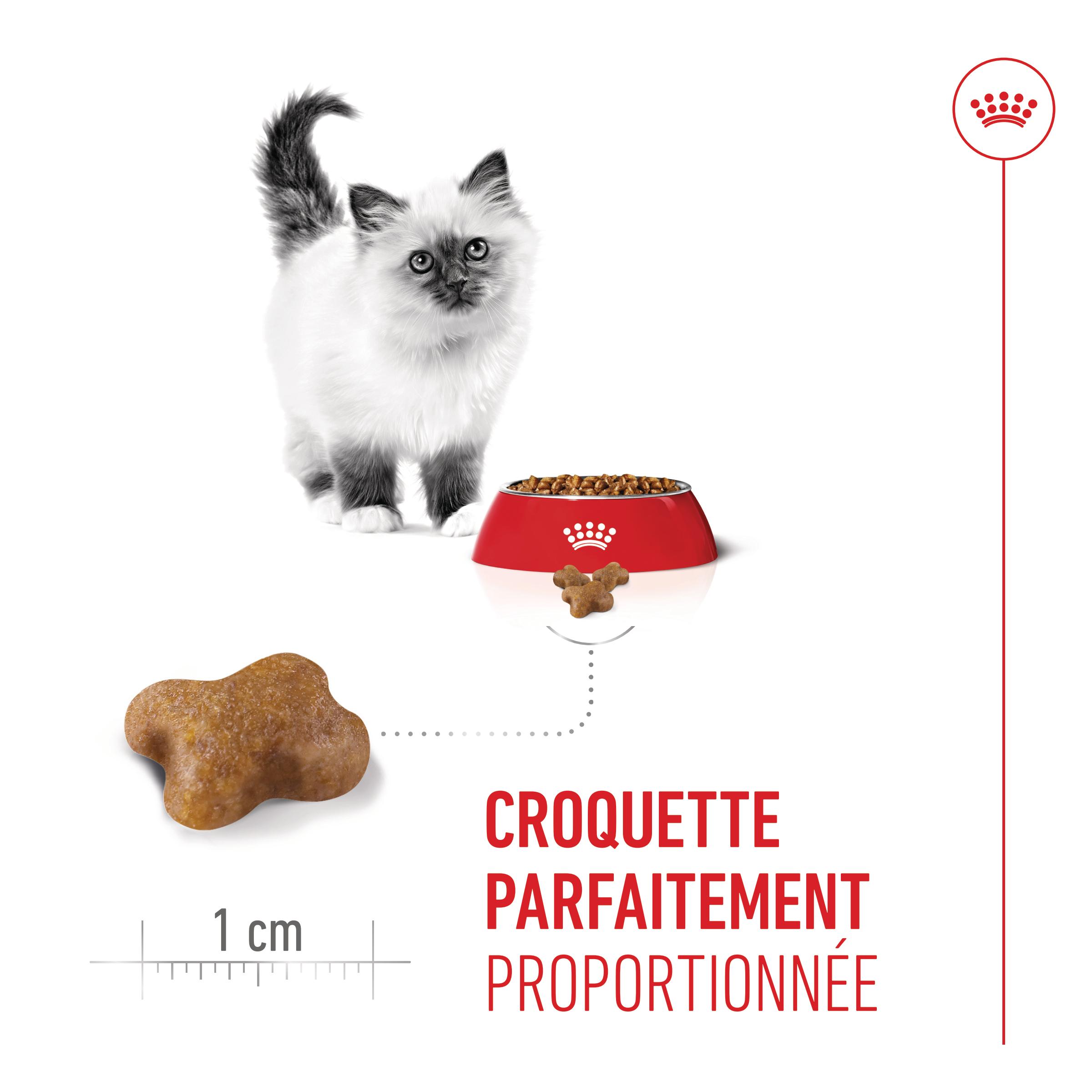 Royal Canin Kitten