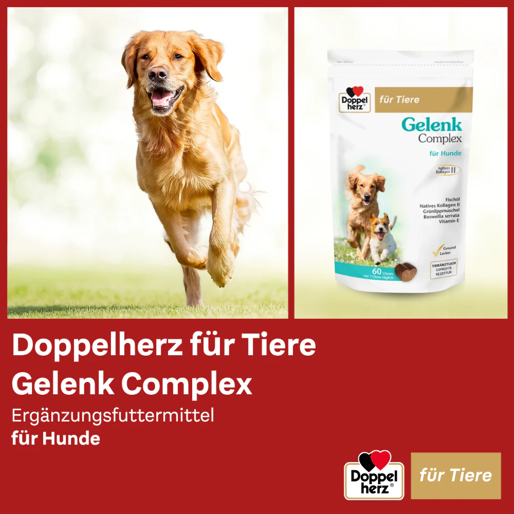 Doppelherz Gelenk Complex für Hunde