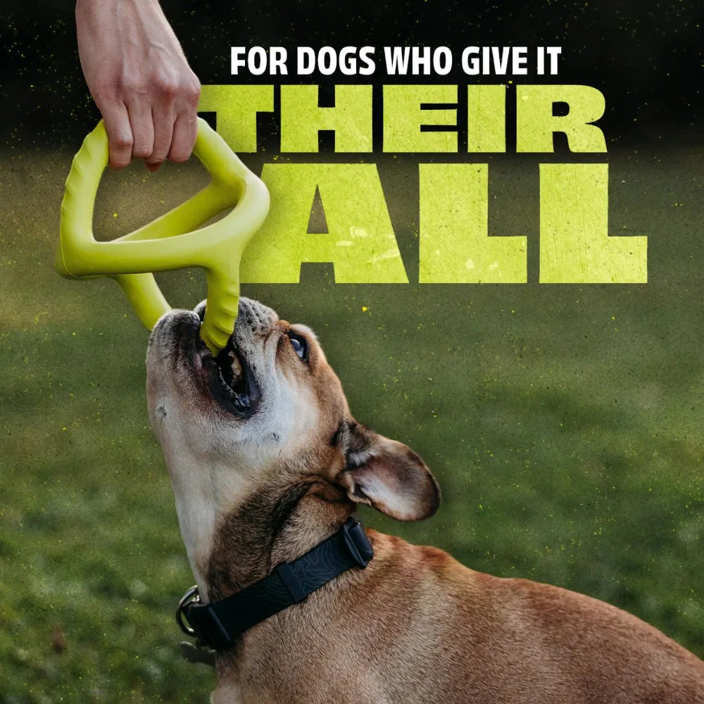 Benebone Bounce Tug Ball