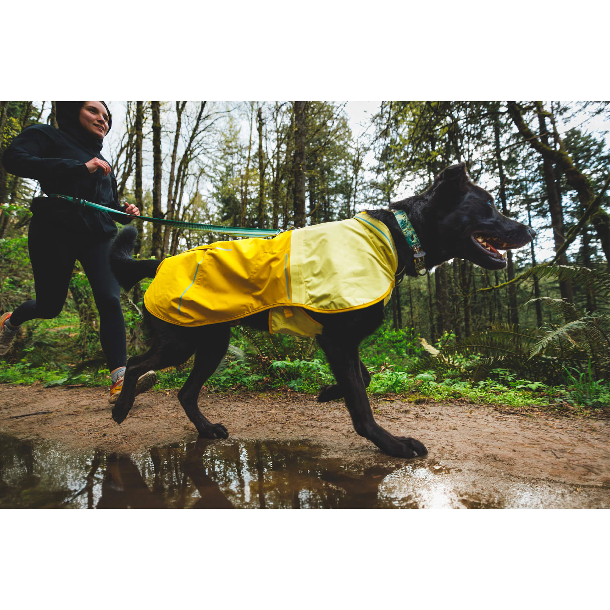 Ruffwear Sun Shower Rain Jacket