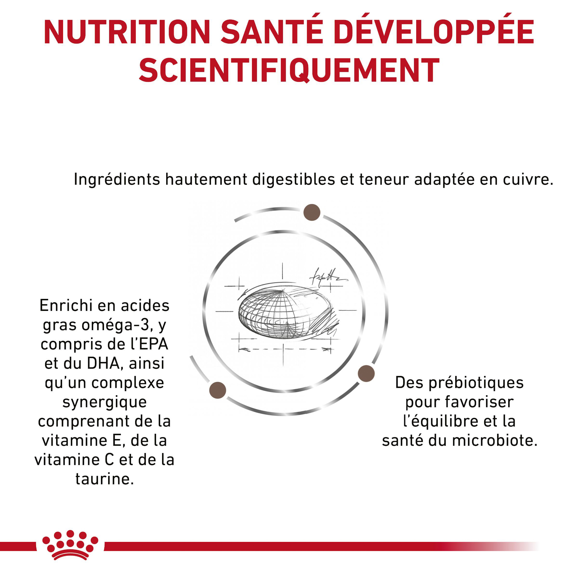 Royal Canin Hepatic Chat