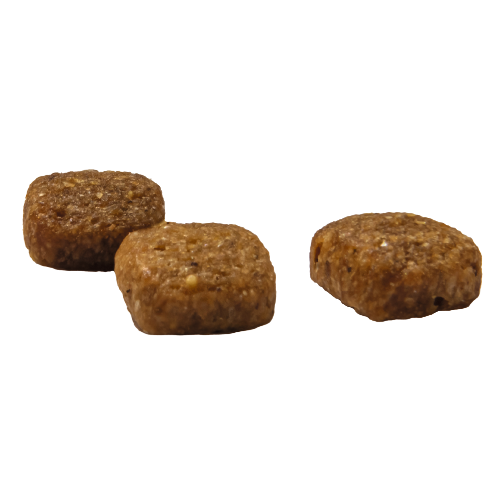 Prins VitalCare Senior - 4 Kg