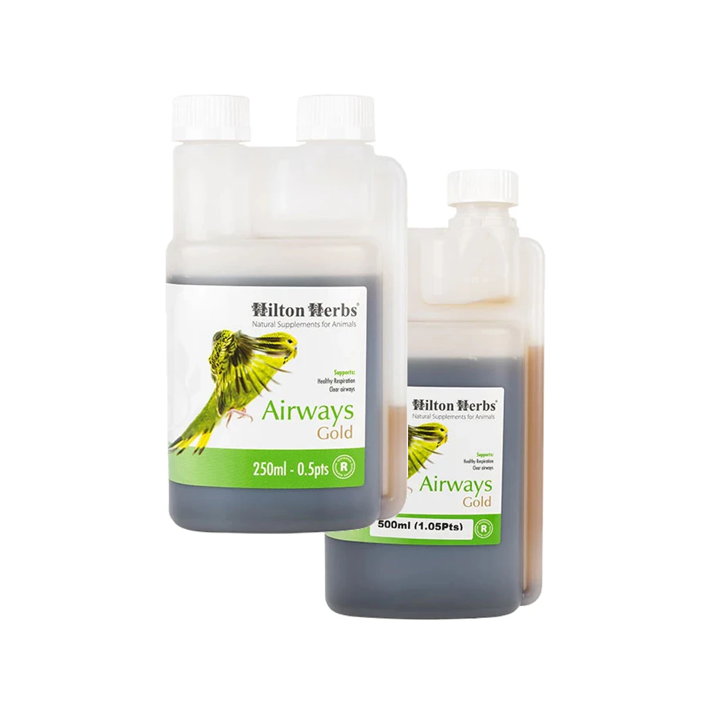 Hilton Herbs Airways Gold for Birds