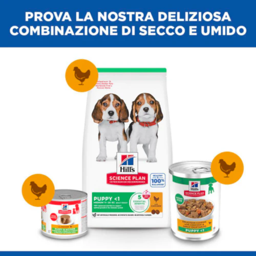 Hill's Science Plan - Puppy - Stufato - Pollo