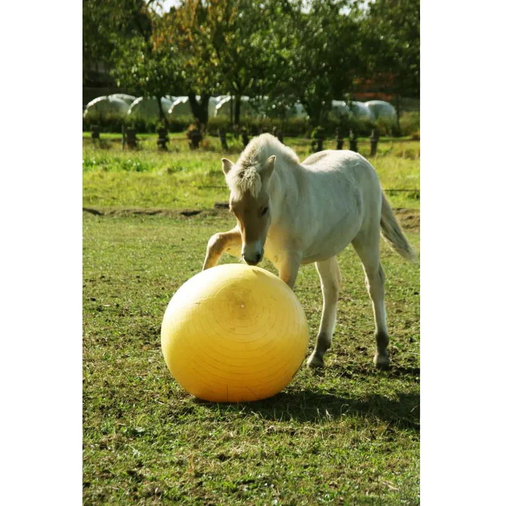 Maximus Power Play Ball