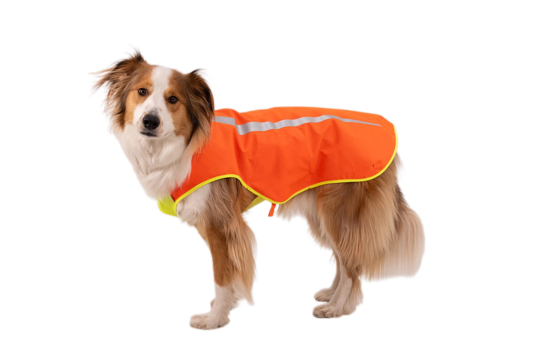 Ruffwear Lumenglow High-Vis Vest