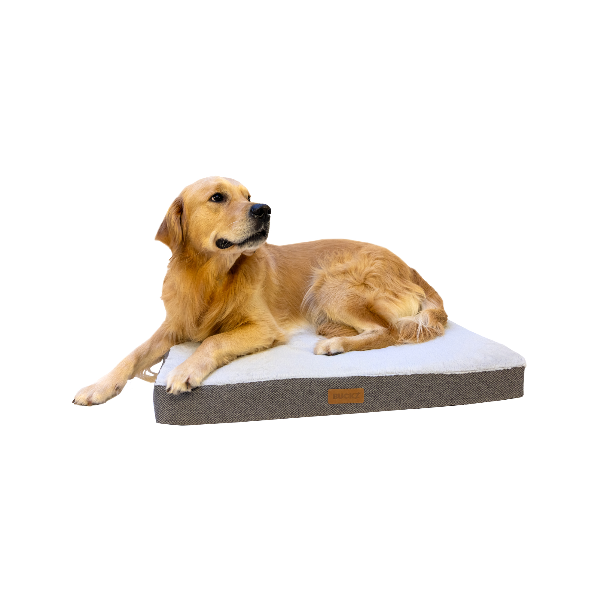 Buckz Orthopaedic Dog Cushion Bo